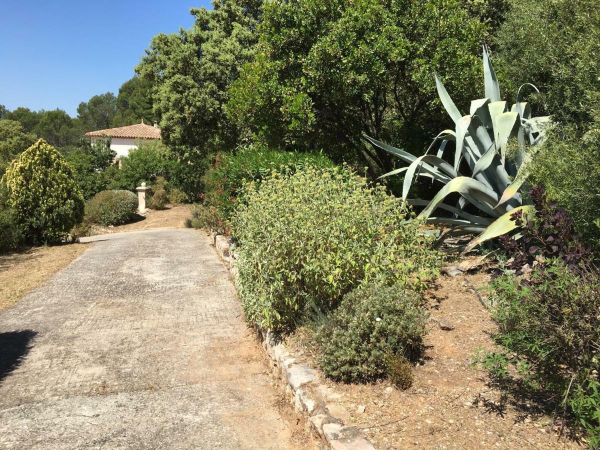 הוילה לורג Leis Arbouso מראה חיצוני תמונה